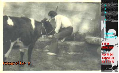 fotolar33.jpg